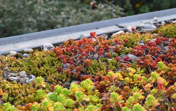 the cost of South Stoke green roof installation