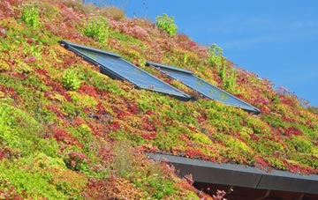 South Stoke living roof systems