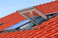 South Stoke roof window