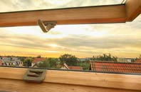 rated South Stoke roof window companies